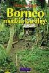 Borneo medžių karštligė