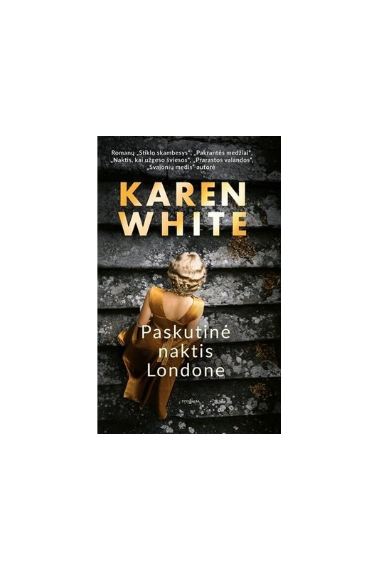 Paskutinė naktis Londone Karen White